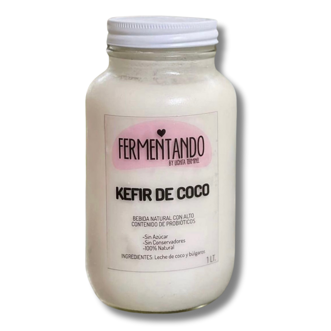 KEFIR COCO TERMINEL 1 LT